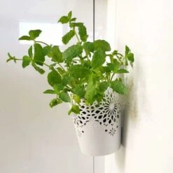 Smart Nano Tape, Reusable Nano Adhesive Tape, Clear Traceless Double-Sided, Washable And Durable For Stick-on Items, 2mm X 3cm X 3m -Floor Store 75327684 4