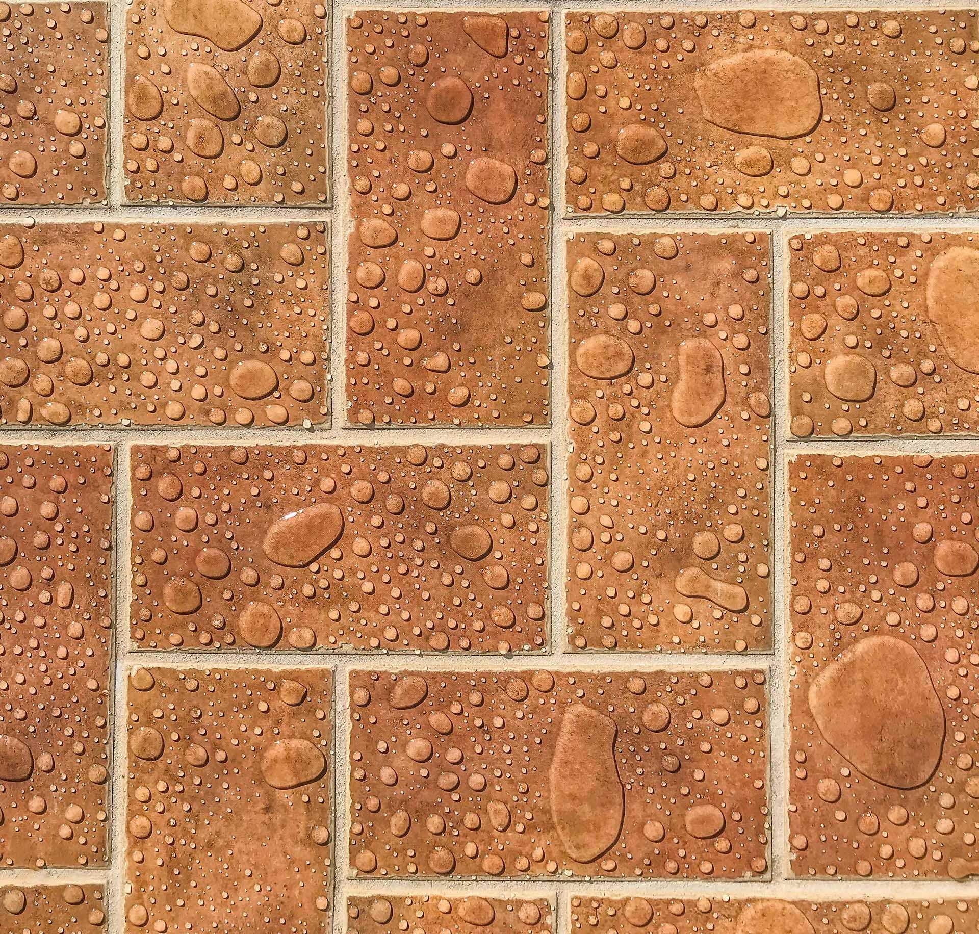 Floor Store -Floor Store pexels santiago manuel de la colina 520897 4490644